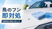 鳥のフンが車に付いたときの落とし方｜塗装を傷めない応急処置と洗車手順のサムネイル画像