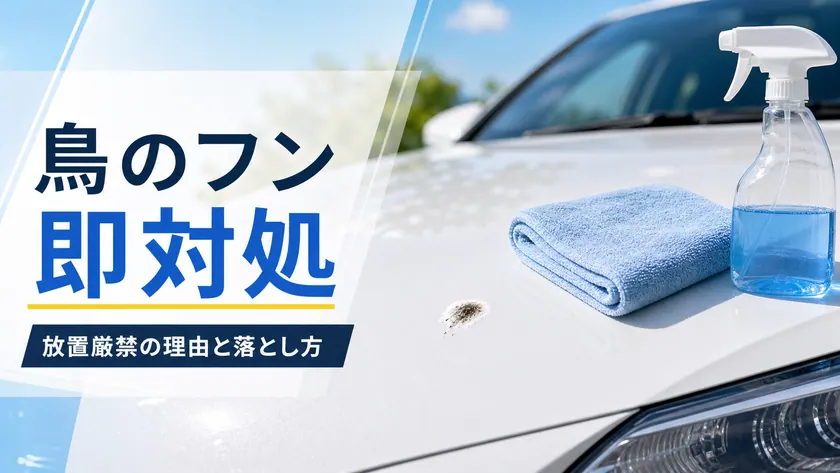What to Do When Bird Droppings Get on Your Car thumbnail